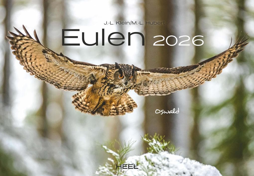 Eulen Kalender 2026