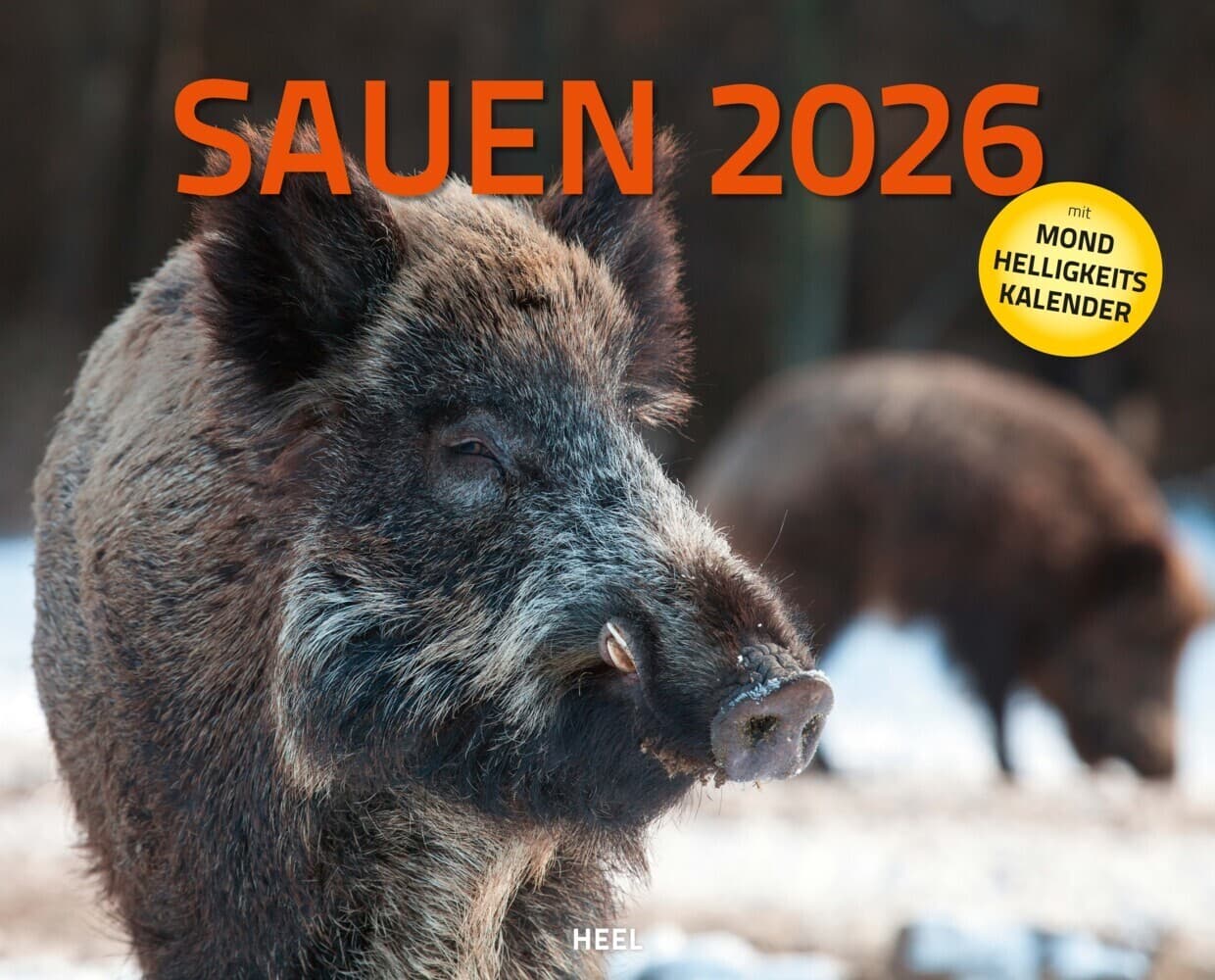 Sauen Kalender 2026 Jagd-Kalender im XXL-Format