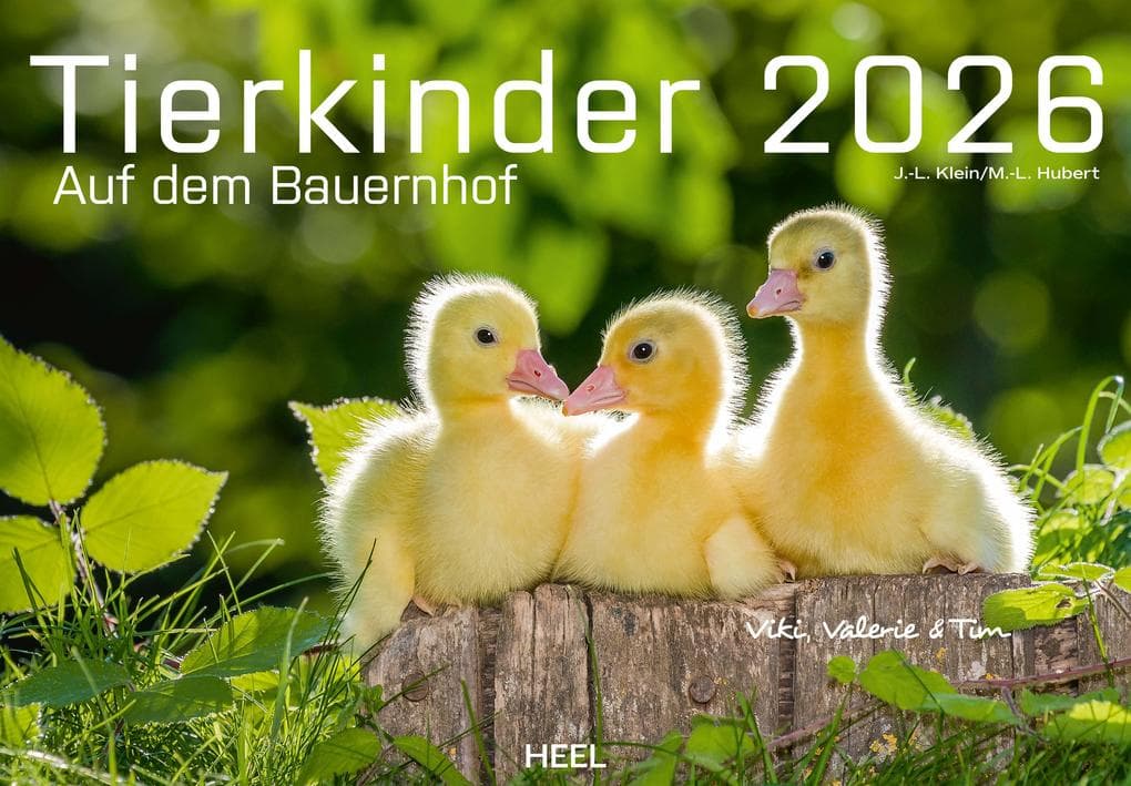 Tierkinder auf dem Bauernhof Kalender 2026