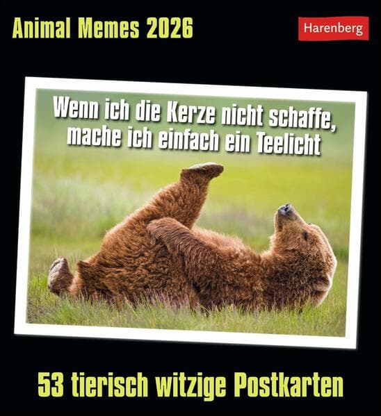 Animal Memes Postkartenkalender 2026 - 53 tierisch witzige Postkarten