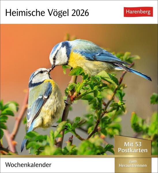 Heimische Vögel Postkartenkalender 2026 - Wochenkalender mit 53 Postkarten