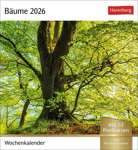 Bäume Postkartenkalender 2026 - Wochenkalender mit 53 Postkarten