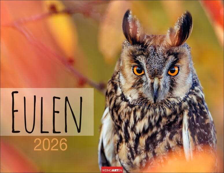 Eulen Kalender 2026