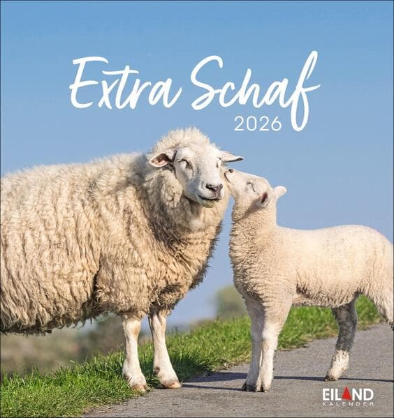 Extra Schaf Postkartenkalender 2026