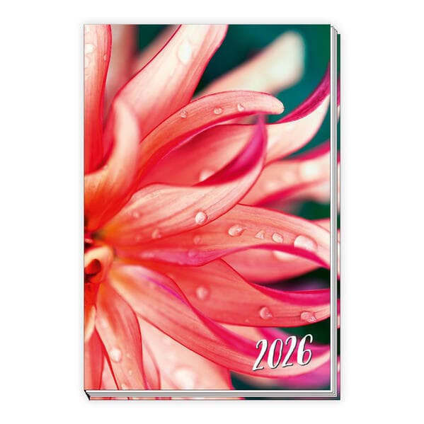 Trötsch Taschenkalender A6 Flowers 2026