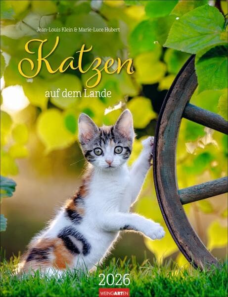 Katzen auf dem Lande Kalender 2026