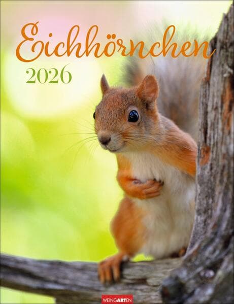 Eichhörnchen Kalender 2026