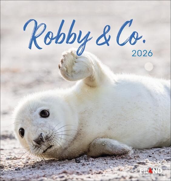 Robby & Co. Postkartenkalender 2026