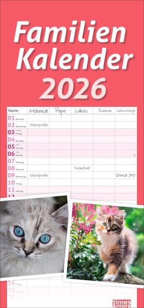 times&more Katzen Familienplaner 2026