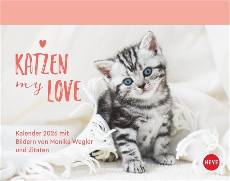 Katzen my love Tagesabreißkalender 2026