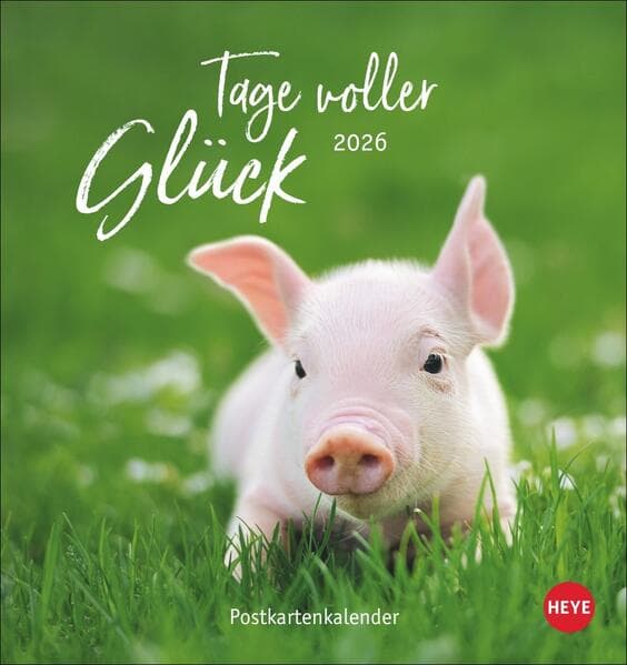 Tage voller Glück Postkartenkalender 2026