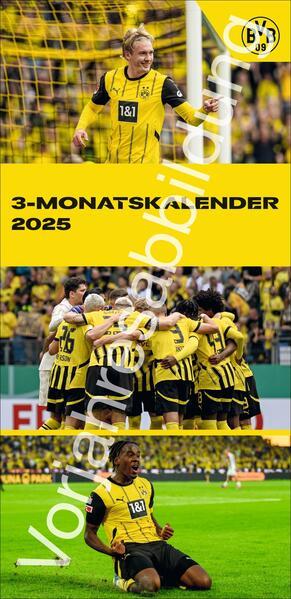 BVB 3-Monats-Planer 2026