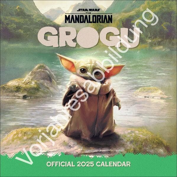 The Mandalorian Broschurkalender 2026