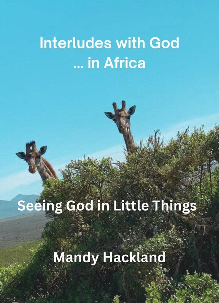 Interludes with God ... in Africa (Seeing God in Little Things, #1)