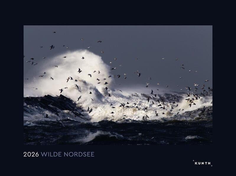 Wilde Nordsee - KUNTH Wandkalender 2026