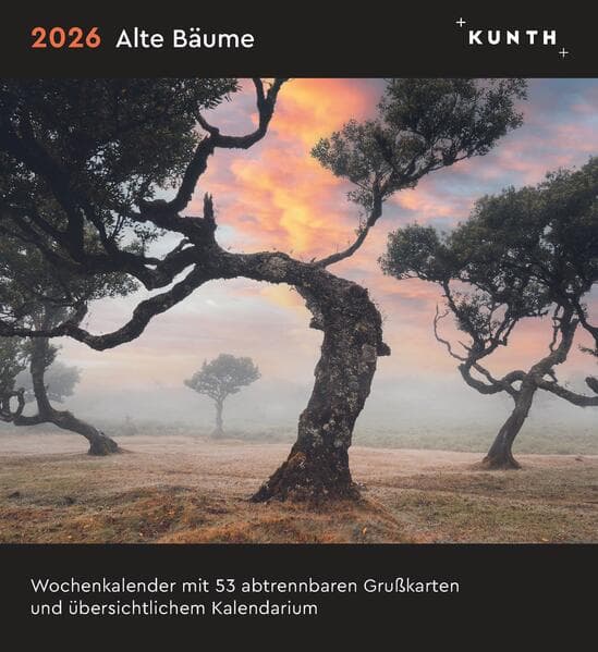 Alte Bäume - KUNTH Postkartenkalender 2026