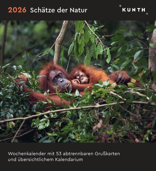 Schätze der Natur - KUNTH Postkartenkalender 2026