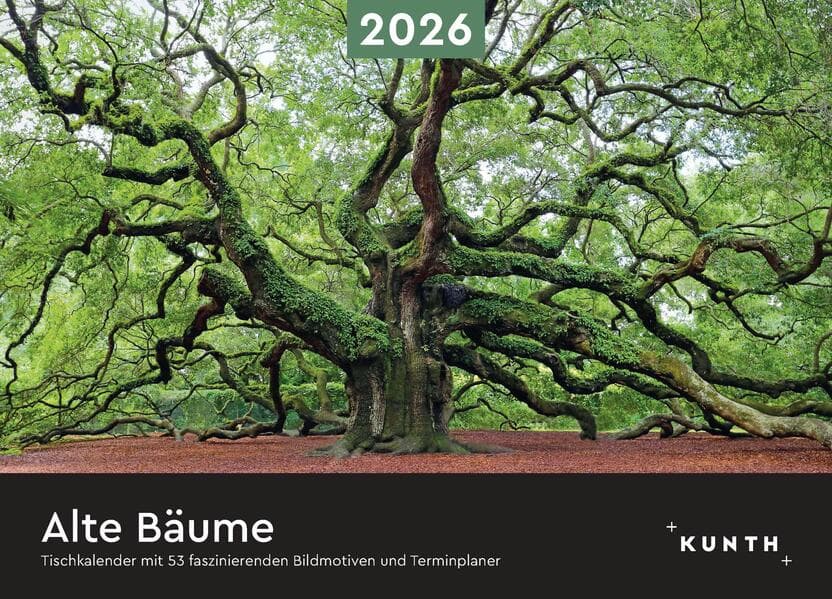 Alte Bäume - KUNTH Tischkalender 2026