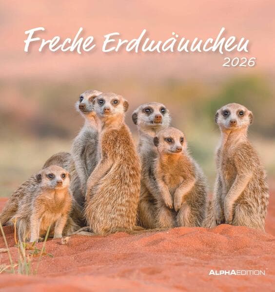 Freche Erdmännchen 2026 - Postkartenkalender 16x17 cm