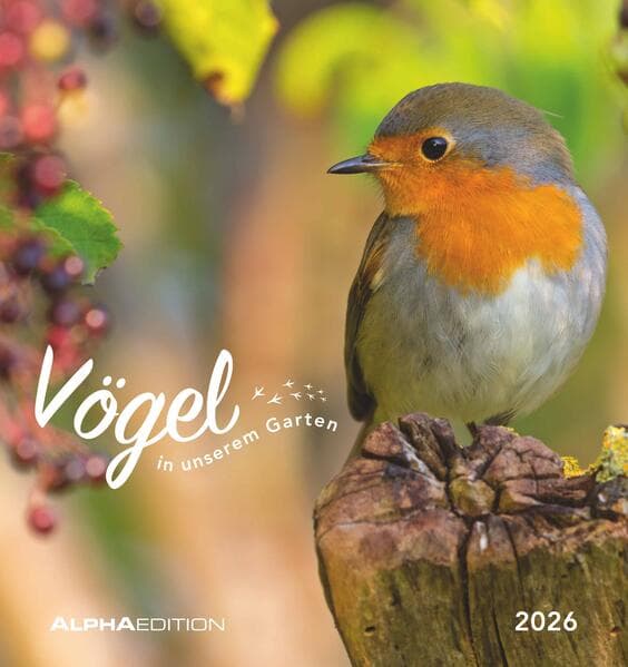 Vögel in unserem Garten 2026 - Postkartenkalender 16x17 cm