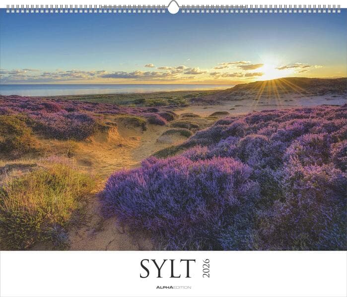 Sylt 2026 - Bildkalender XXL 60x50 cm - hochwertiger Wandkalender im Querformat - Landschaftskalender - Wandplaner - Deutsche Küsten