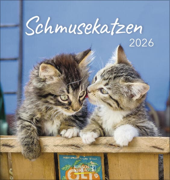 Schmusekatzen 2026
