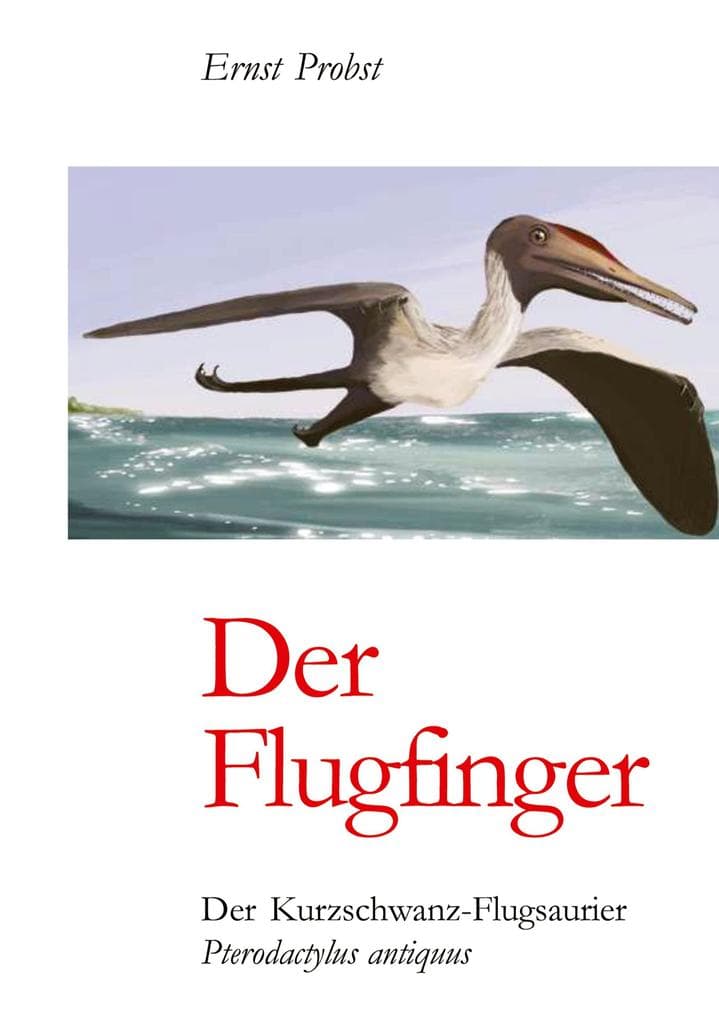 Der Flugfinger