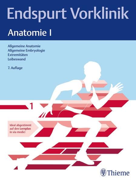 Endspurt Vorklinik: Anatomie I