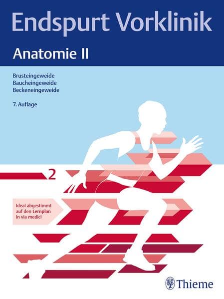 Endspurt Vorklinik: Anatomie II