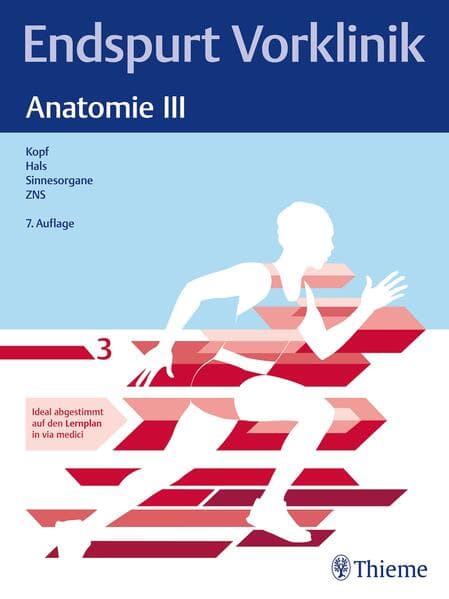 Endspurt Vorklinik: Anatomie III