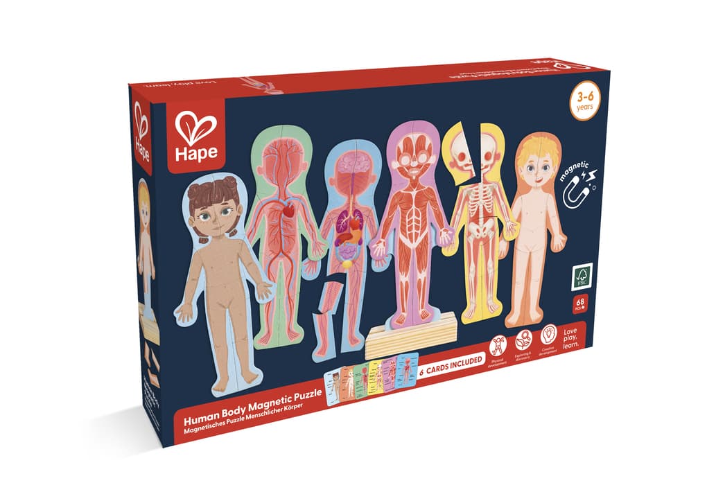 Hape - Magnetisches Puzzle Menschlicher Körper
