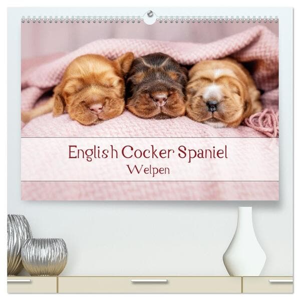 English Cocker Spaniel Welpen (hochwertiger Premium Wandkalender 2026 DIN A2 quer), Kunstdruck in Ho