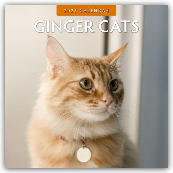 Ginger Cats - Rote Katzen - Gingerkatzen 2026 - 16-Monatskalender