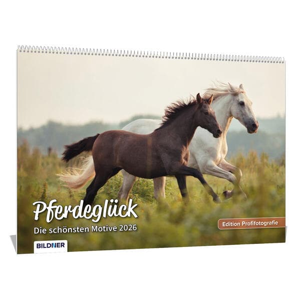 Pferde Kalender 2026 Pferdeglück! Die schönsten Pferdemotive und Aufnahmen 2026