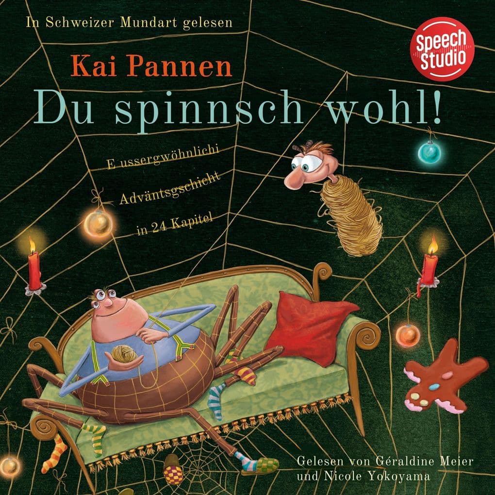 Du spinnst wohl! Eine aussergewöhnliche Adventsgeschichte in 24 Kapiteln