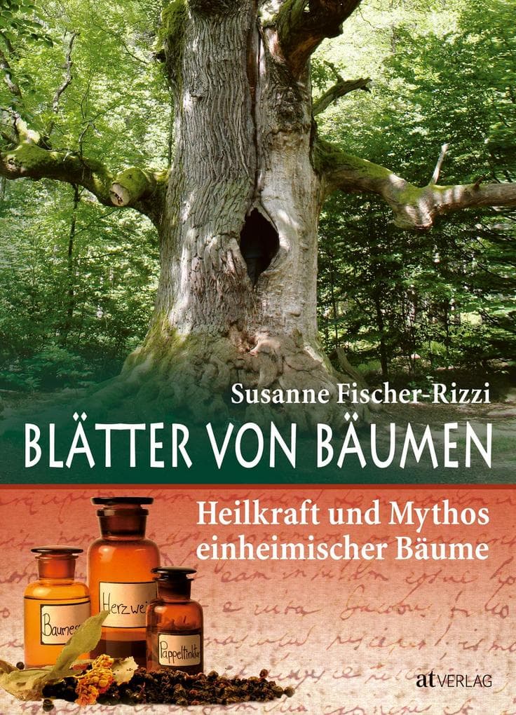 Blätter von Bäumen