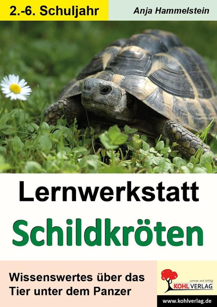 Lernwerkstatt Schildkröten