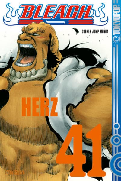 Bleach - Herz