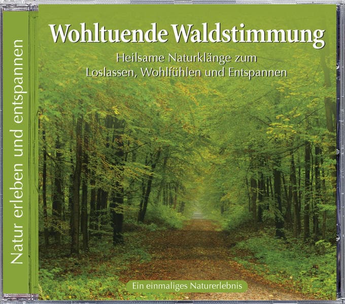 Naturgeräusche: Wohltuende Waldstimmung