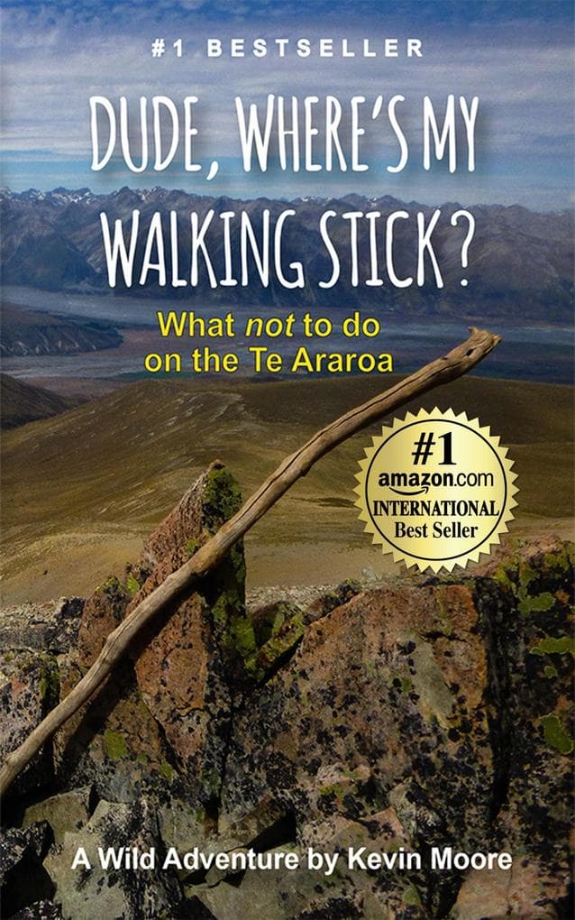 Dude, Where's My Walking Stick?