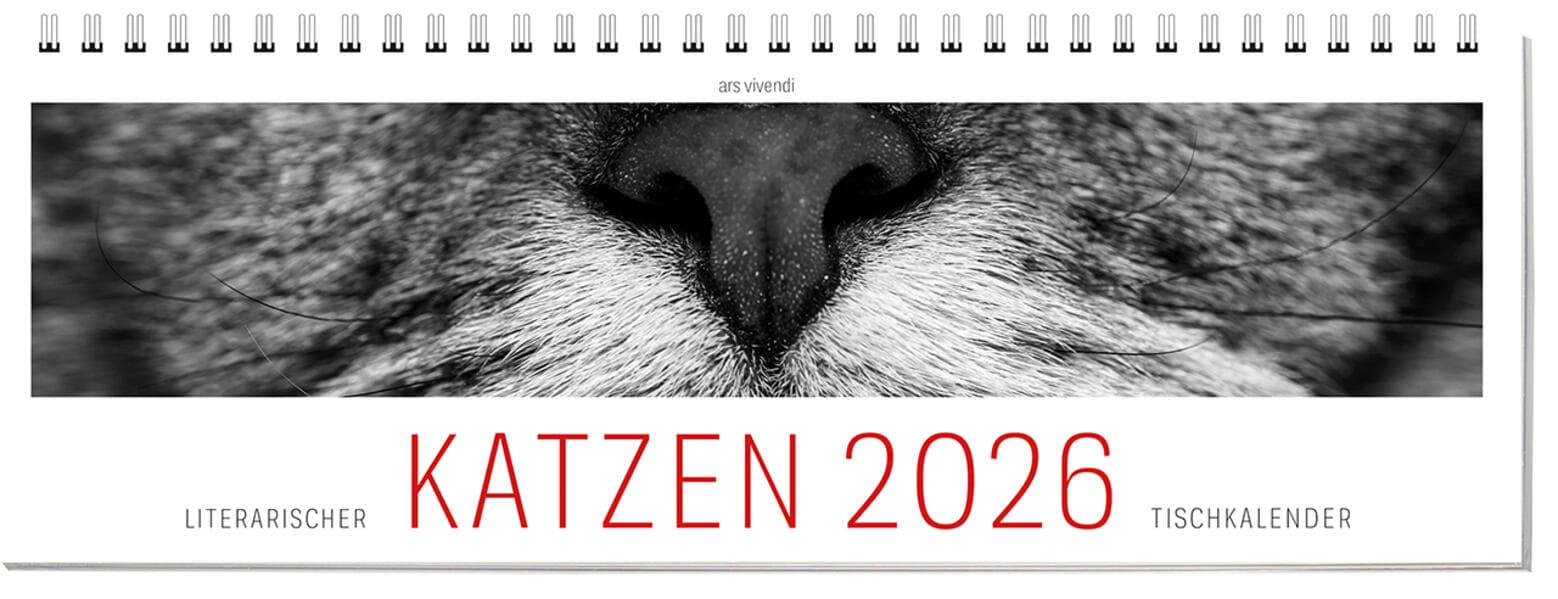 Tischkalender Katzen 2026