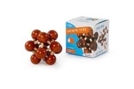 Brainpuzzle #1 Frontallappen