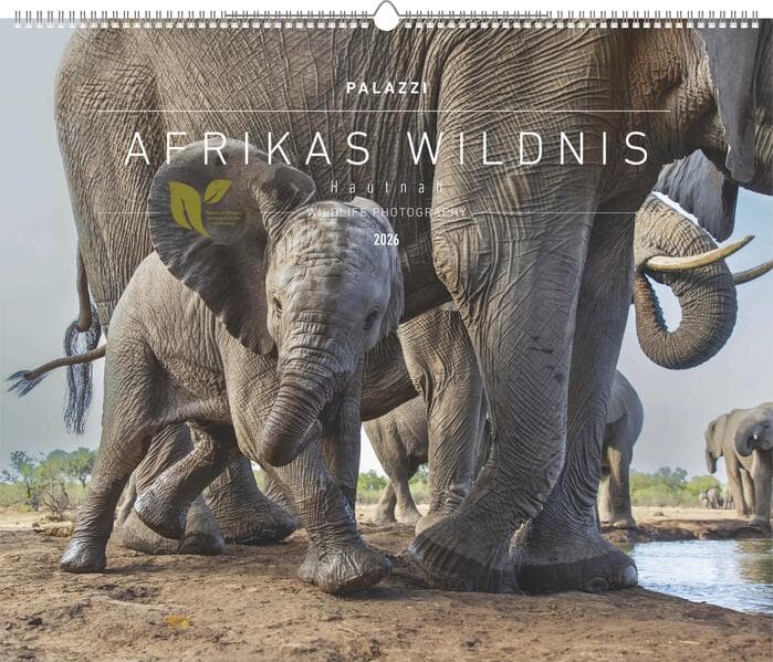 Palazzi - Hautnah - Afrikas Wildnis 2026 - Wandkalender 60×50 cm mit 12 Tierfotografien, Poster-Kale