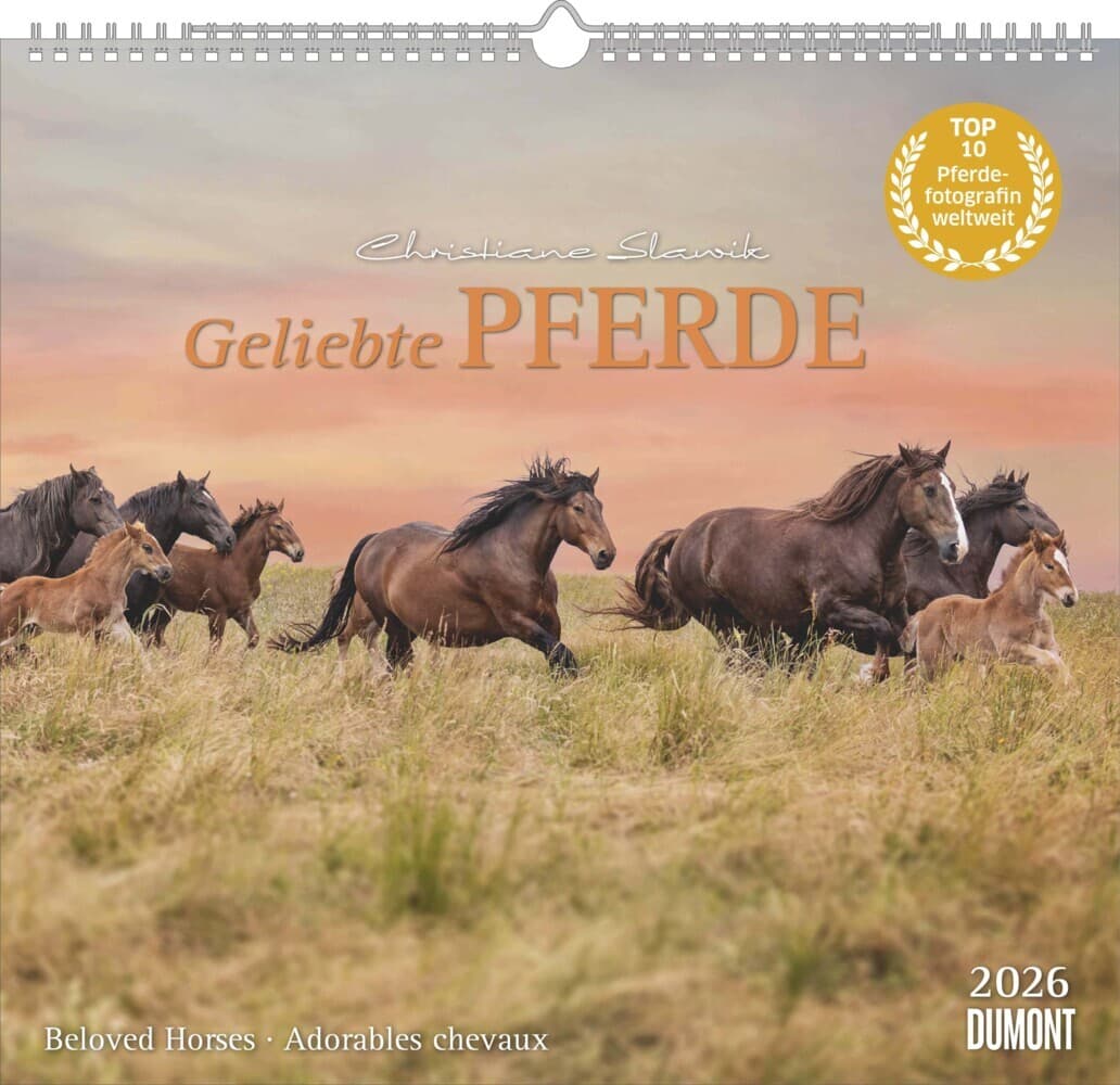Geliebte Pferde 2026 - DUMONT-Wandkalender - Pferdefotografie von Christiane Slawik Format - 38,0 x 35,5 cm