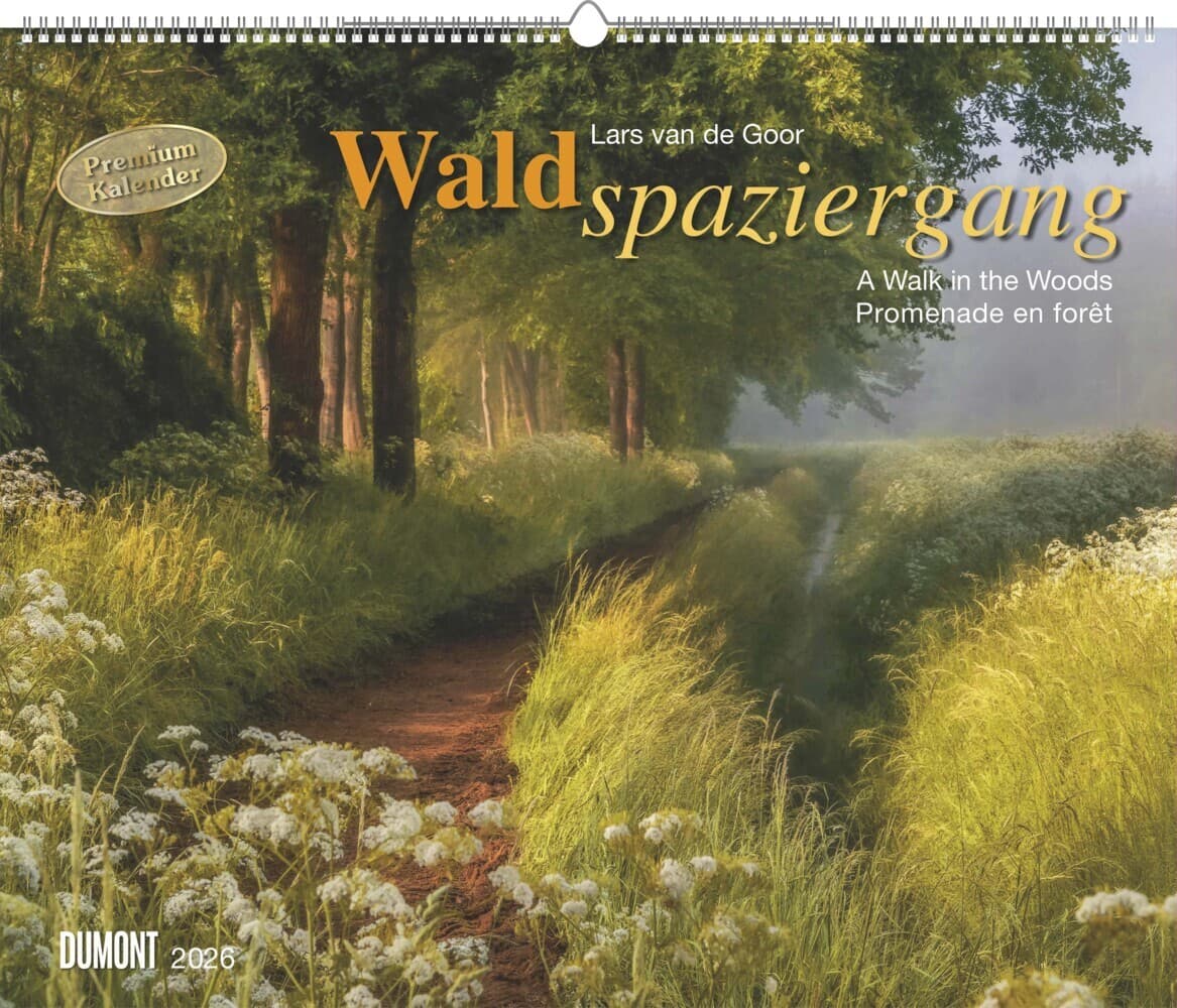 Waldspaziergang 2026 - Fotokunst-Kalender - Querformat 60 x 50 cm - Spiralbindung