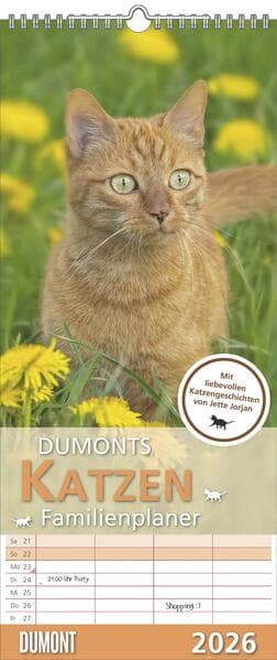 Dumonts Katzen Kalender - Familienplaner im Format 19,5 x 45
