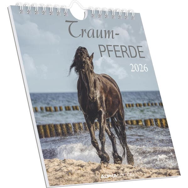 Traumpferde 2026 - Postkartenkalender 16x17 cm - Horses - zum Aufstellen oder Aufhängen - Monatskalendarium - Gadget - Mitbringsel - Alpha Edition
