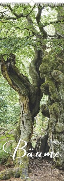 Bäume 2026 - Streifenkalender XXL 25x69 cm - Bildkalender im Hochformat - Wandplaner - Wandkalender - Bäumekalender