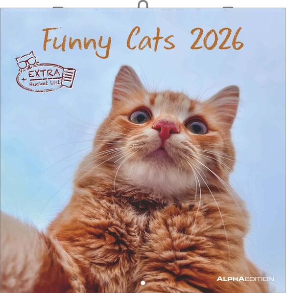 Funny Cats 2026 - Broschürenkalender 30x30 cm (30x60 geöffnet) - Kalender mit Platz für Notizen - Katzen - Bildkalender - Wandplaner - Katzenkalender
