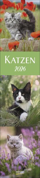 Katzen Langplaner 2026
